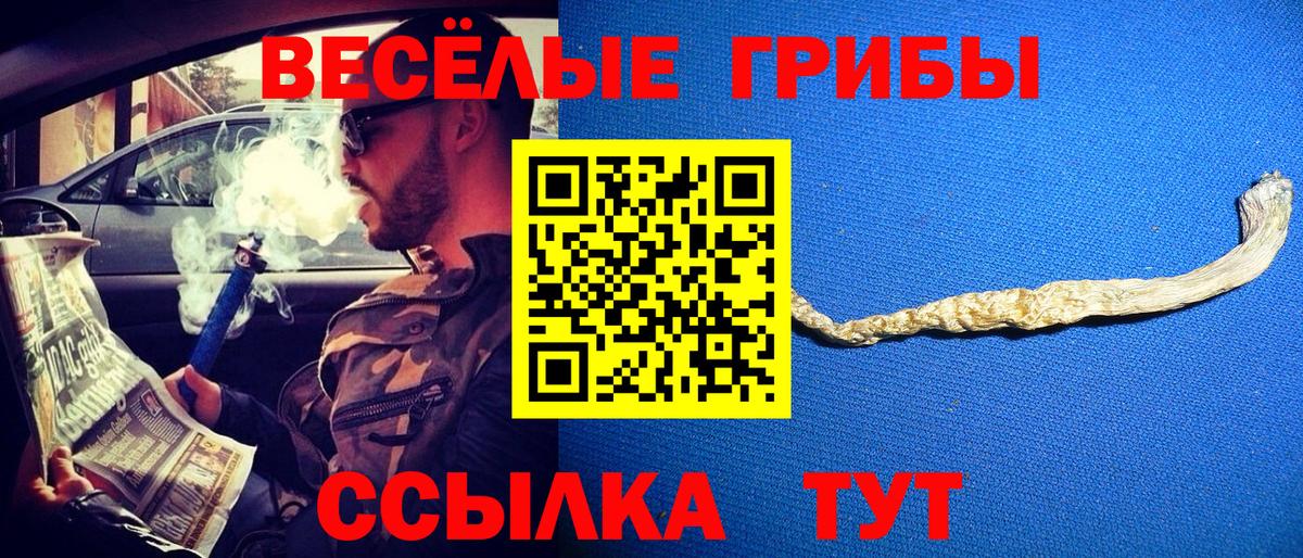 Псилоцибиновые грибы MAGIC MUSHROOMS Крымск